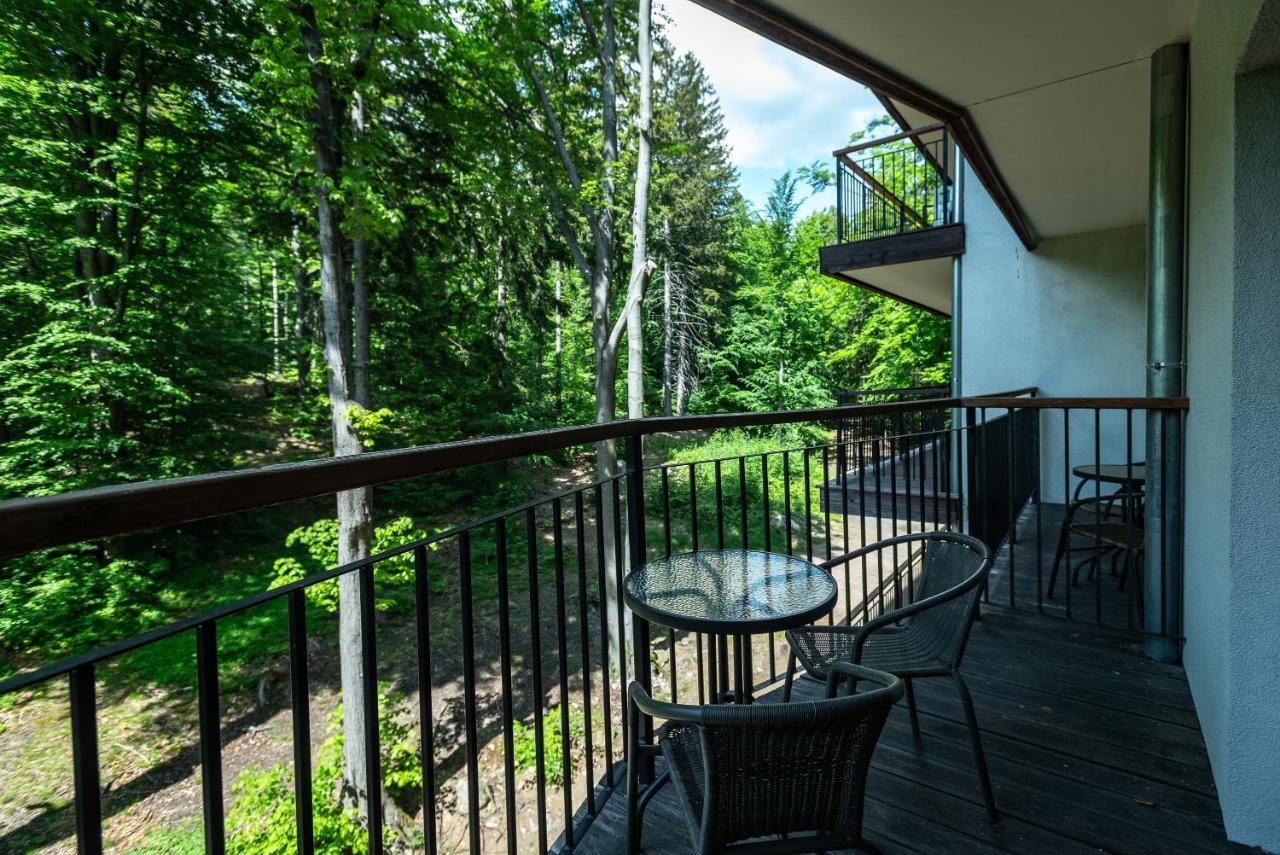 Apartmament Nowy Widok Na Las Schreiberhau Exterior foto